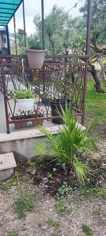 Vila Apartman Duce Milka Exteriér fotografie
