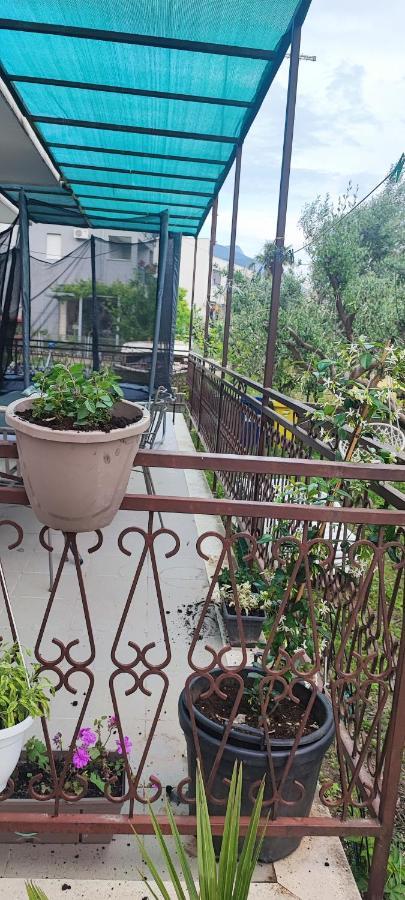 Vila Apartman Duce Milka Exteriér fotografie