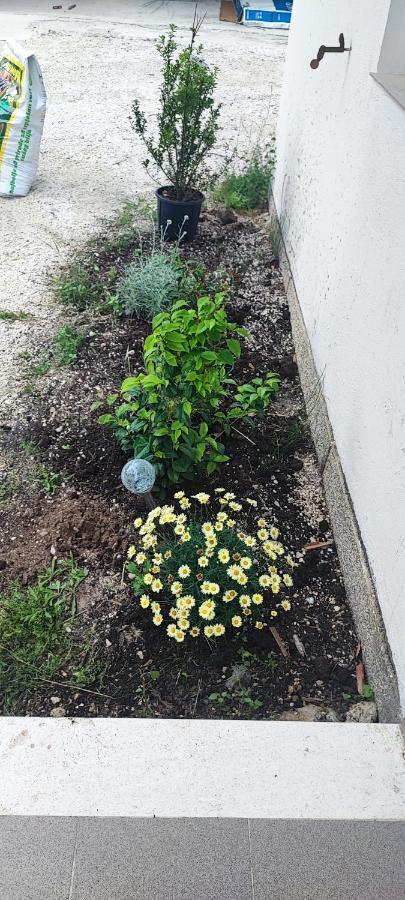Vila Apartman Duce Milka Exteriér fotografie